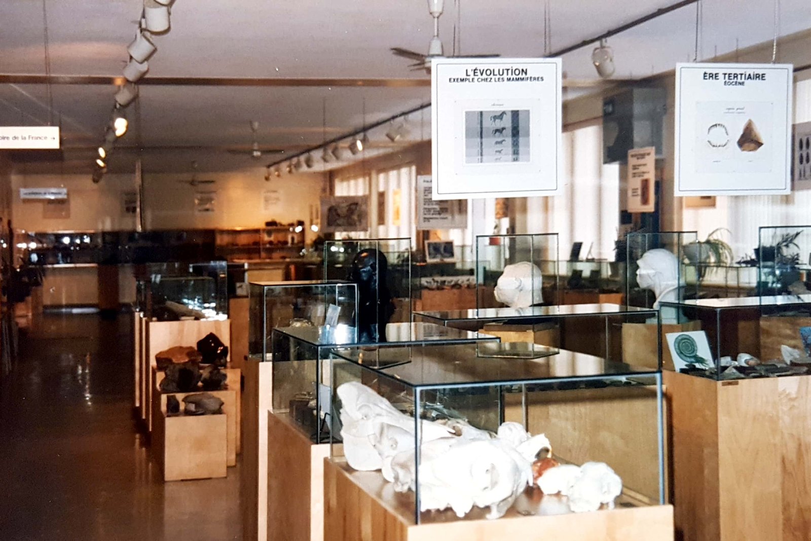 MuseeDArcheologie